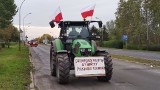 Protest rolników w Piotrkowie: 43 ciągniki przejechały przez miasto do A1 [ZDJĘCIA]