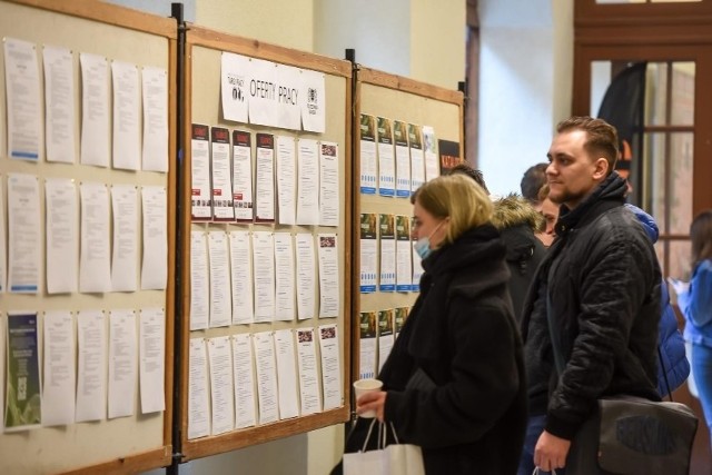 Najlepiej płatne stanowiska we Wrocławiu. Kogo obecnie poszukują pracodawcy i jakie kwoty proponują. Sprawdźcie!