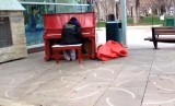 Bezdomny pianista robi furorę. Film hitem internetu! [WIDEO]