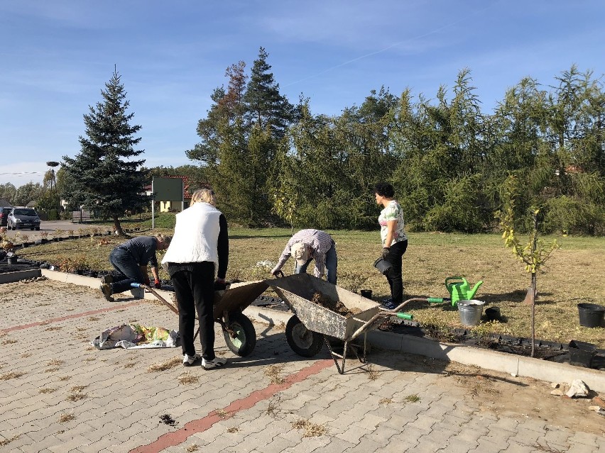 Przed świetlicą wiejską w Świniarach Nowych posadzono 100 sztuk roślin