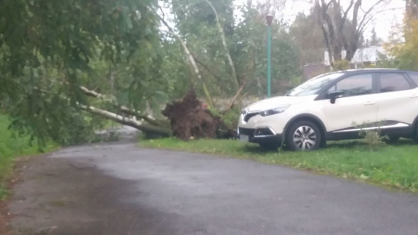 Orkan Ksawery w woj. śląskim: trzy osoby ranne, ponad 40 uszkodzonych domów ZDJĘCIA+RAPORT