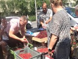 Ceny warzyw i owoców na ryneczkach przy ul. Tatrzańskiej. Gdzie jest drożej? Porównaliśmy ceny