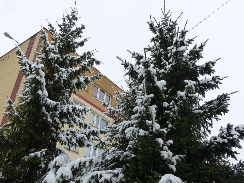 Śnieg w Bielsku Podlaskim