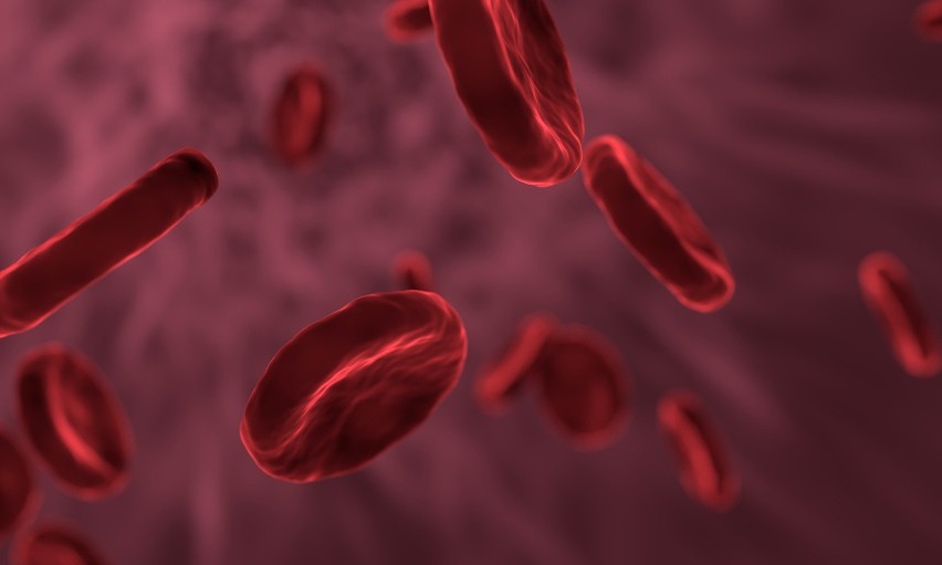 Koronawirus a grupa krwi. Jaką grupę krwi masz? Według naukowców to wpływa na ryzyko zakażenia koronawirusem 
