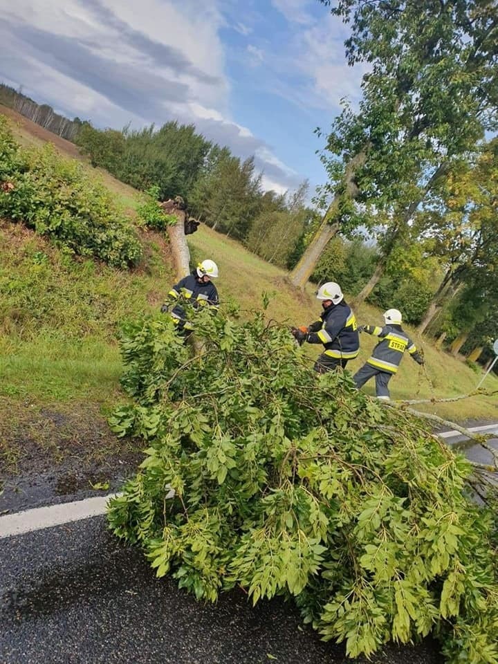 W całym regionie koszalińskim panuje bardzo wietrzna pogoda....