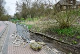 Rusza remont zniszczonej przez nawałnicę  Alei Emmendingen i Parku Piszczele w Sandomierzu. Co zostanie zrobione? Zobacz zdjęcia