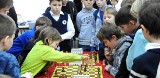 Mistrzostwa Szczecina Szkół Podstawowych w Szachach. Rywalizowali mali następcy Kasparowa (wideo, zdjęcia)