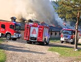 Gigantyczny pożar kurnika w miejscowości Ćmińsk. W środku 31 tysięcy kurcząt. W akcji 17 zastępów strażackich