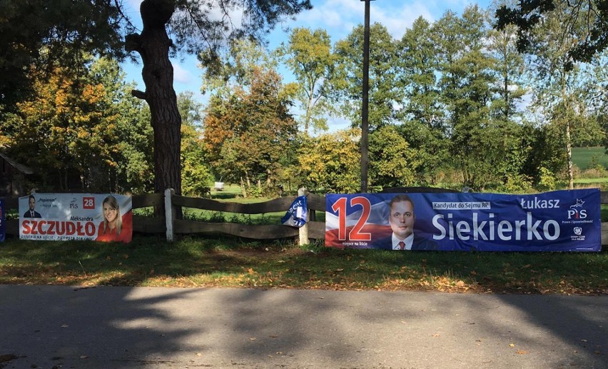 Kto powiedział, że koń nie może mieć poglądów politycznych?...