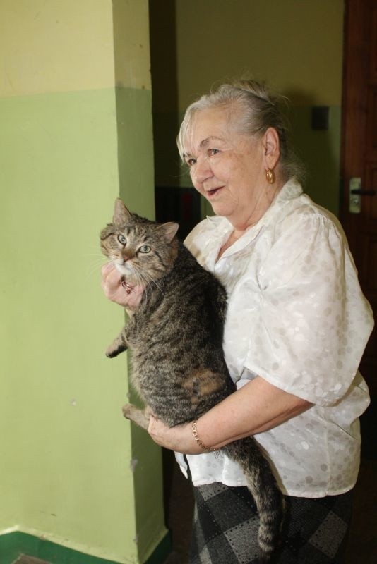 Po tragicznym wypadku kotu pozostała niewielka ranka. Pani Maria uratowała zwierzę, teraz chce, żeby trafiło w dobre ręce.