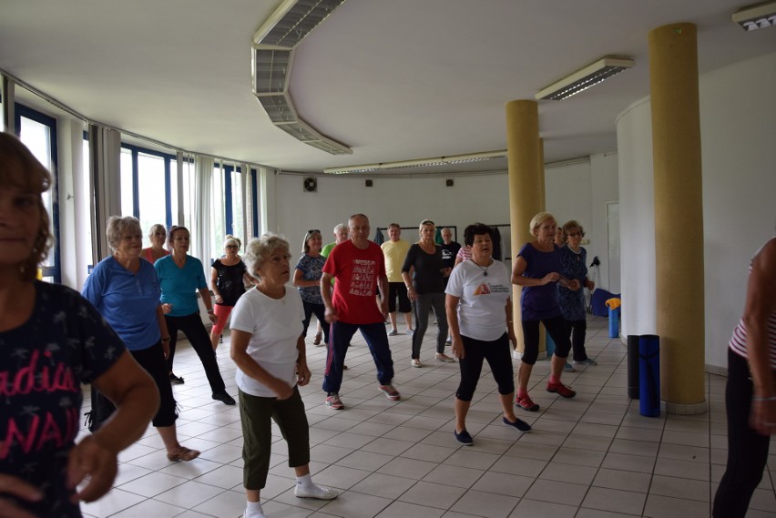 Gimnastyka dla seniorów w Parku Śląskim. Róża Domeradzka wie, jak zachęcić seniorów do ruchu