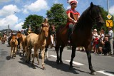 Przyjedź do Lutowisk na XII Targi Końskie