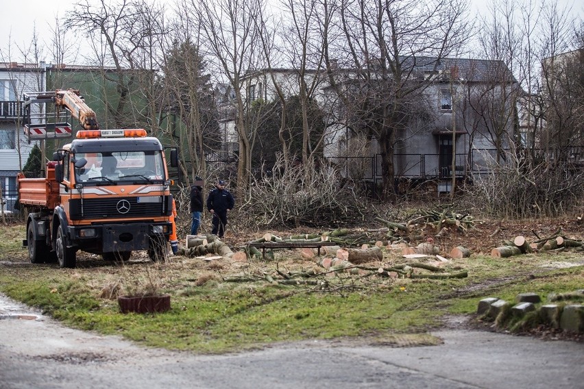 Władysławowo: Nielegalnie wycinali drzewa przy szkole...