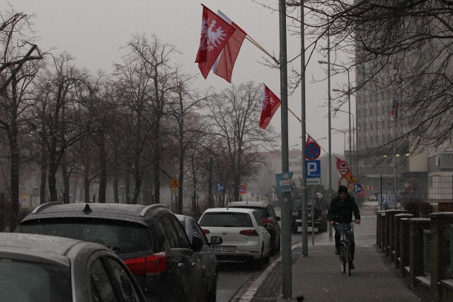 Flaga powstańcza z wizerunkiem orła - obok biało-czerwonej rozetki - jest jednym z najważniejszych symboli Powstania Wielkopolskiego. Początkowo symbol orła nie był ujednolicony. I tak można było spotkać się z wizerunkiem orła zarówno bez, jak i z koroną. 