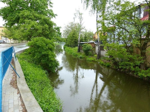Rzeka Czarna w Staszowie przybrała po zrzutach wody z Chańczy.