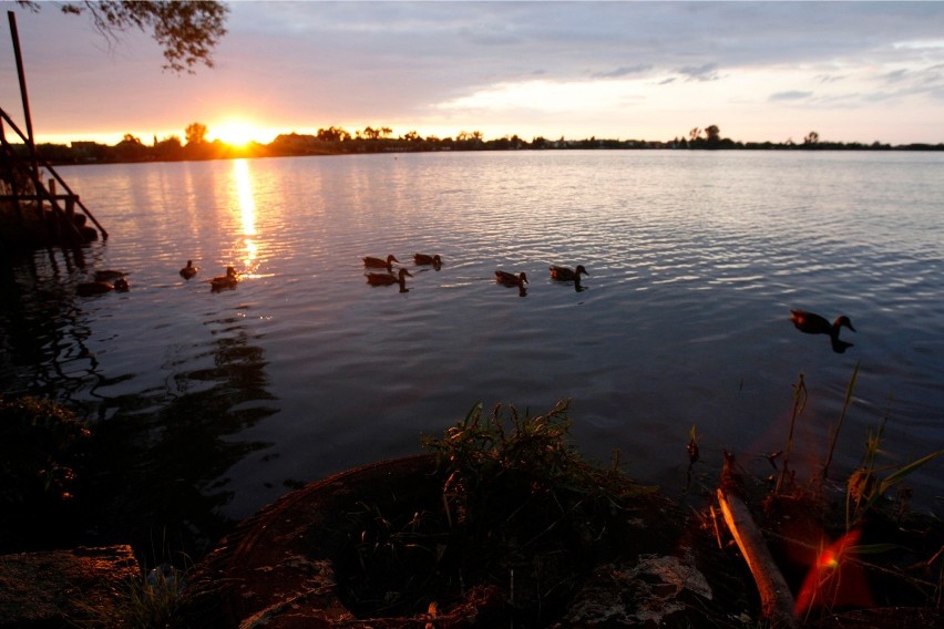 Pogoda w II połowie sierpnia 2015