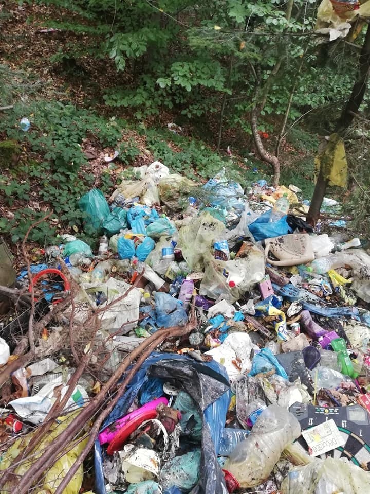 Powiat myślenicki. Jak grzyby po deszczu. Sterty śmieci w lasach