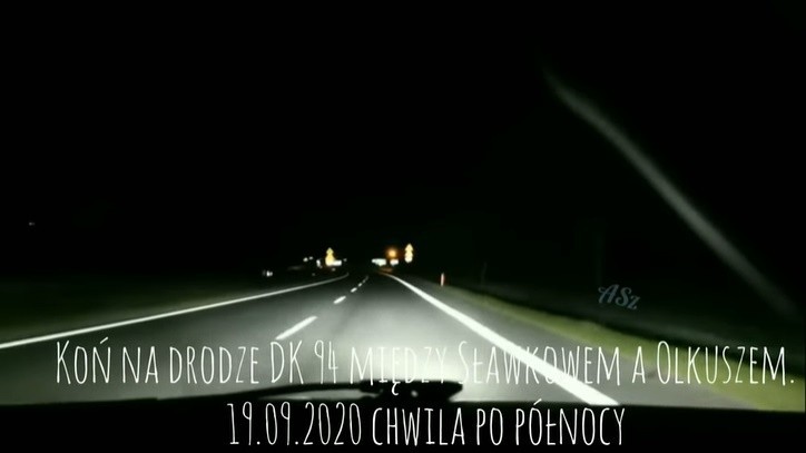 W nocy z 19 na 20 września 2020 po drodze krajowej nr 94...