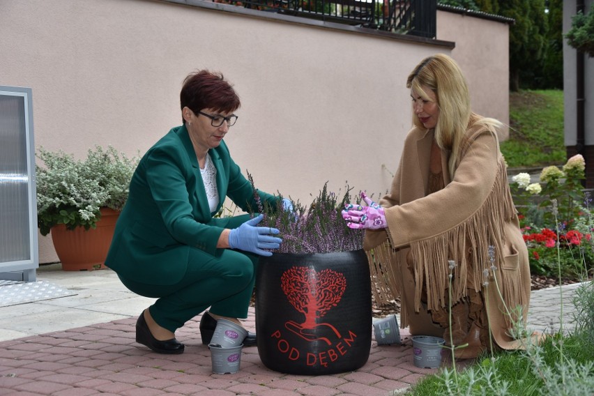 Finał projektu "Winda dla Seniora" w Domu Pomocy Społecznej w Sandomierzu. Piękna uroczystość z kwiatami w tle. Zobacz zdjęcia 