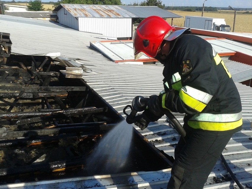 Groźny pożar w Bobrowicach. Na miejscu 9 zastępów straży pożarnej [zdjęcia]