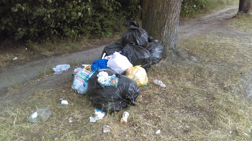 Brud i smród w parku na Zdrowiu. Jak mają tu wypoczywać łodzianie?