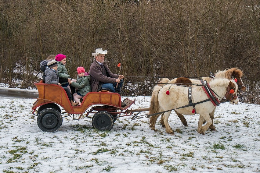 Żeleźnikowa Wielka jak Betlejem. Jan Cieślik zaprasza do żywej szopki.