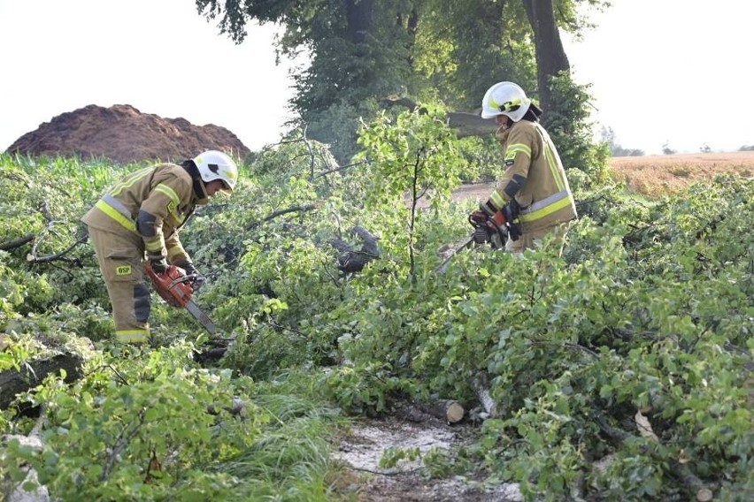 Efekt przejścia burzy w powiecie grudziądzkim