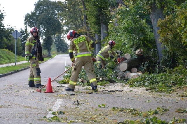 Olbrzymi konar spadł na ulicę Kaszubską w Miastku