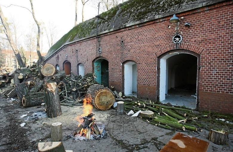 Nowe osiedle mieszkaniowe na Biskupinie. Powstaje obok zabytkowego schronu (ZDJĘCIA)