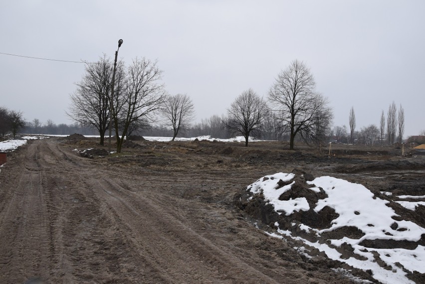 Oświęcim. Na Kamieńcu wycięto piękne drzewa. Tak powstaje Park Pojednania Narodów [ZDJĘCIA, WIZUALIZACJA]