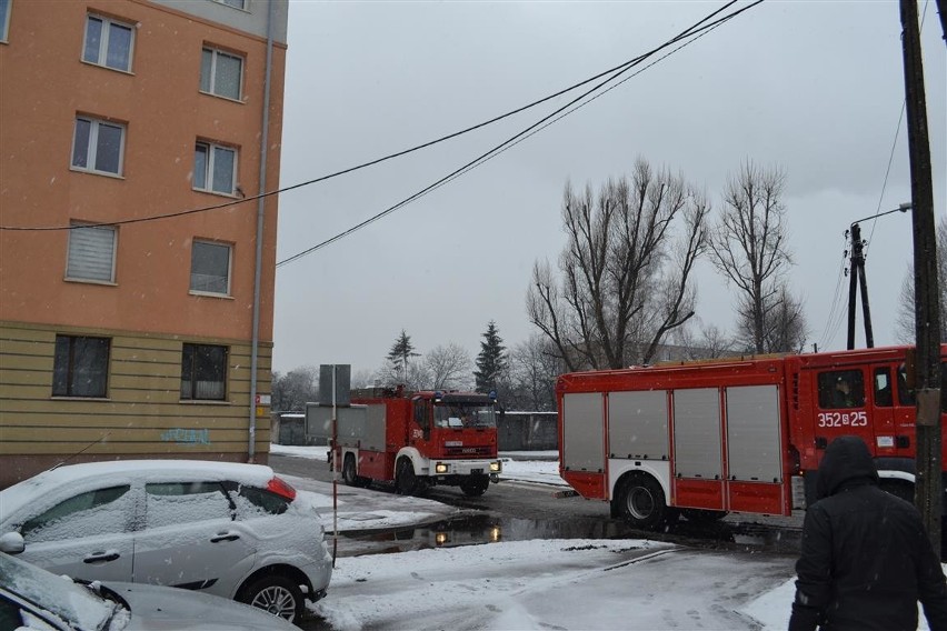 Częstochowa: Na Rakowie znów śmierdzi. Mieszkańcy wezwali strażaków [ZDJĘCIA]