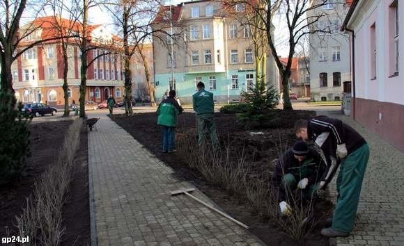 Plac przed starostwem. Tutaj pomnik osadników chcieliby widzieć kresowiacy.