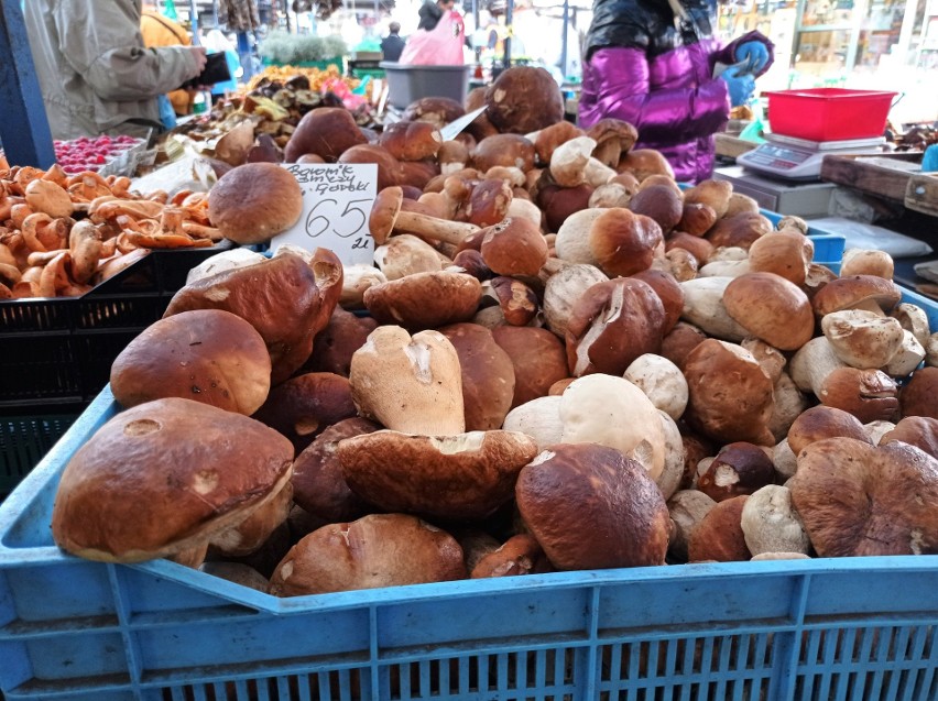 Ceny za 1 kg suszonych grzybów 2023. Tyle kosztują prawdziwki i podgrzybki u zbieraczy albo w sklepie