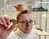 Moneta księcia Albrechta od hołdu pruskiego znaleziona w Kamieniu Pomorskim 