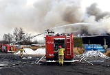 Pożar w Chorzowie. Dlaczego spłonęła hala zakładów chemicznych Novichem? 30 zastępów straży pożarnej walczyło z ogniem