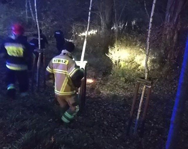 Mieszkańcy ul. Emilii Plater zaniepokojeni stadem dzików na miejsce wezwali policję. Dojechała również straż pożarna.Zwierzęta na ul. Emilii Plater pojawiły się w poniedziałek, 25 listopada, po godz. 16.00. Zaniepokoiły mieszkańców, którzy zaalarmowali policję. Na pomoc policjantom dojechał również wóz straż pożarnej. Strażacy i policjanci sprawdzają czy zwierzęta nadal są w okolicy. Warto dodać, że na ul. Emilii Plater dziki systematycznie pojawiają się już od niemal dwóch miesięcy m.in. w poszukiwaniu jedzenia. Ponadto na miejskich ulicach czują się swobodnie.POLSKA TOSKANIA - zobacz film i przewodnik interaktywny po lubuskiej krainie wina i wrażeń! Poznaj z nami polską Toskanię! Zabierzemy Cię w podróż pięcioma szlakami: pasji, cierpliwości, spełnienia, dumy i tradycji. 