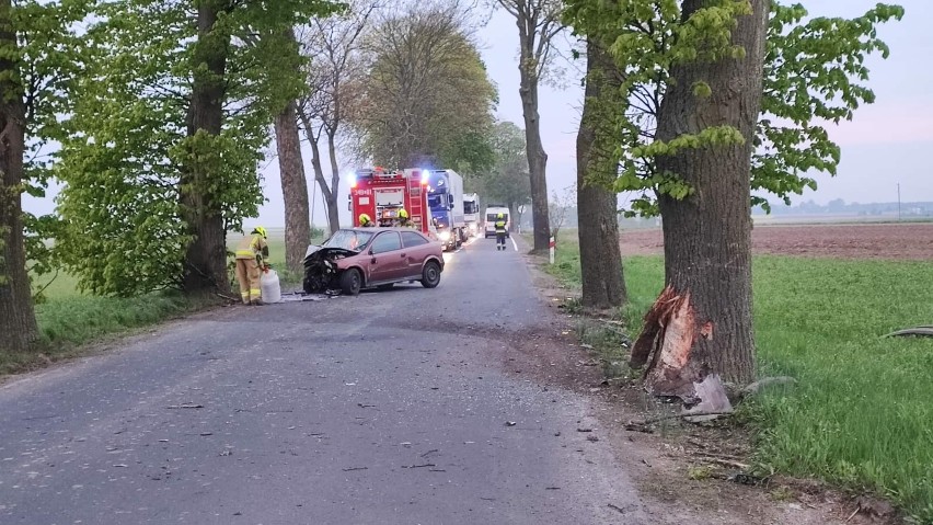 W Łążynie w pow. toruńskim kierowca opla uderzył w przydrożne drzewo. Trafił do szpitala
