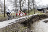 Kraków. Mieszkańcy niepokoją się o wyrwę brzegową w Parku Dąbie. Wody Polskie uspokajają i szykują kolejny przetarg