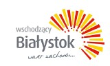 Ponad połowa Internautów nie chce żadnego logo. Wszystkie są brzydkie