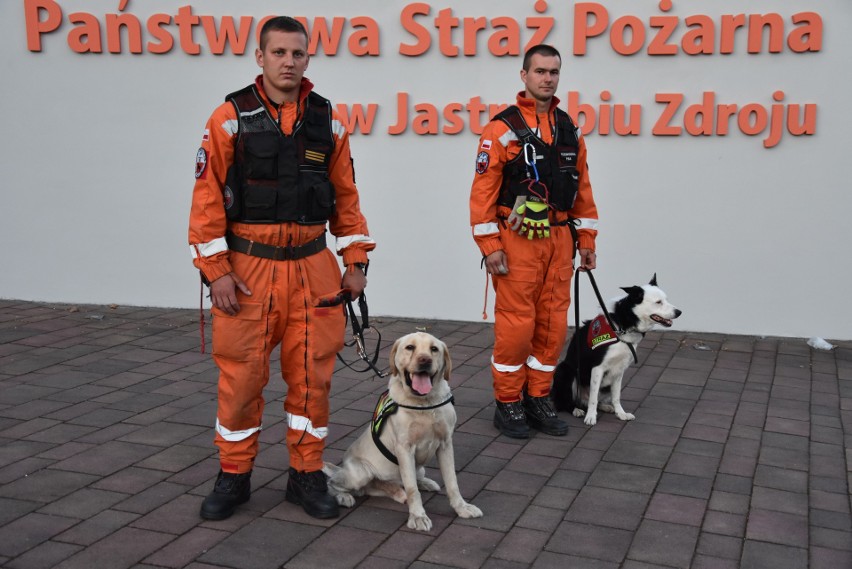 Specjalistyczne psy z Jastrzębia są gotowe pomóc w akcji na...