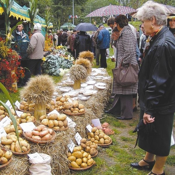 Deszcz i chłód nie popsuły zabawy i w niedzielne przedpołudnie park zapełniły tłumy gości i hajnowian, świętujących dożynki diecezjalne Diecezji Drohiczyńskiej i zarazem wojewódzkie.