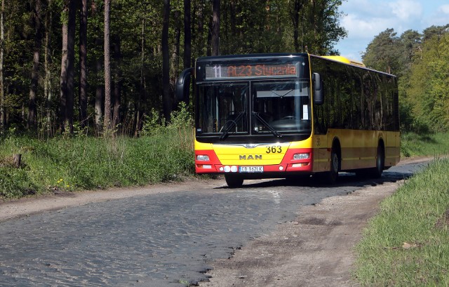 Mimo że ulica Południowa w Grudziądzu jest w fatalnym stanie od niedawna jeżdżą nią autobusy linii nr 11 MZK Grudziądz