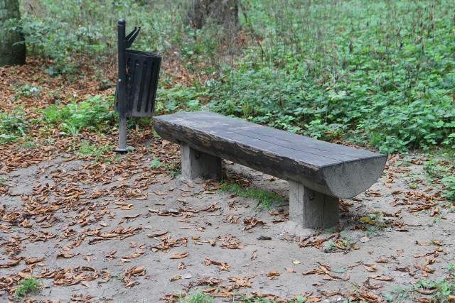 Dziewczynka, w której sprawie toczy się postępowanie z art. 200 paragraf 1 KK, widziana była z nauczycielem na ławce w Parku Słowackiego w Chełmnie