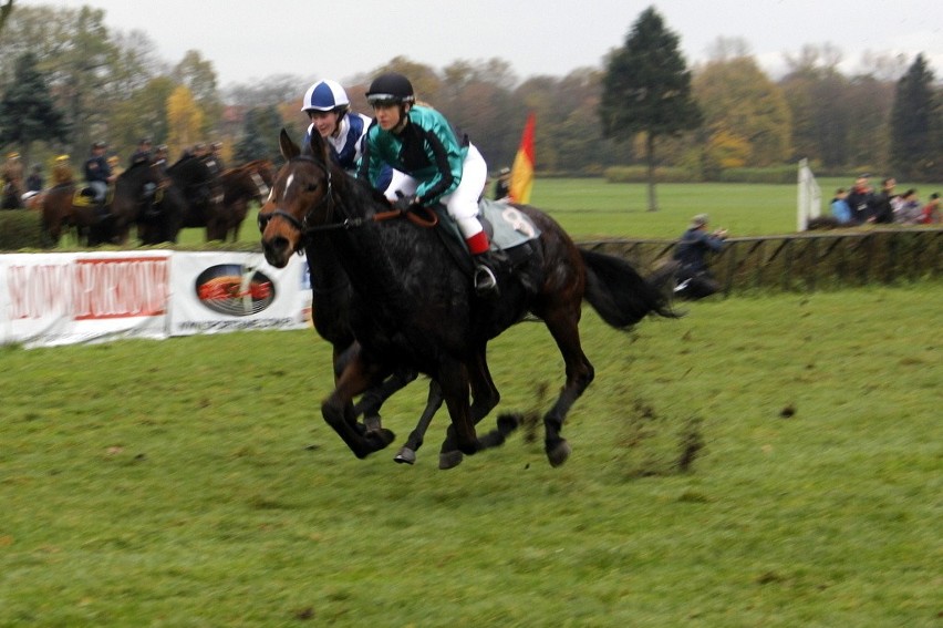 Hubertus 2013: Najszybsze konie biegły z prędkością 60 km/h. Bombonierka najlepsza (ZDJĘCIA)