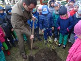 Ostrołęka. Przedszkolaki posadziły drzewka [ZDJĘCIA]