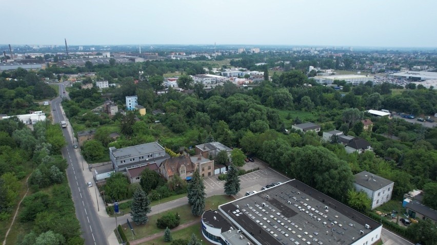 Obecnie działki, na których znajdują się drzewa są...