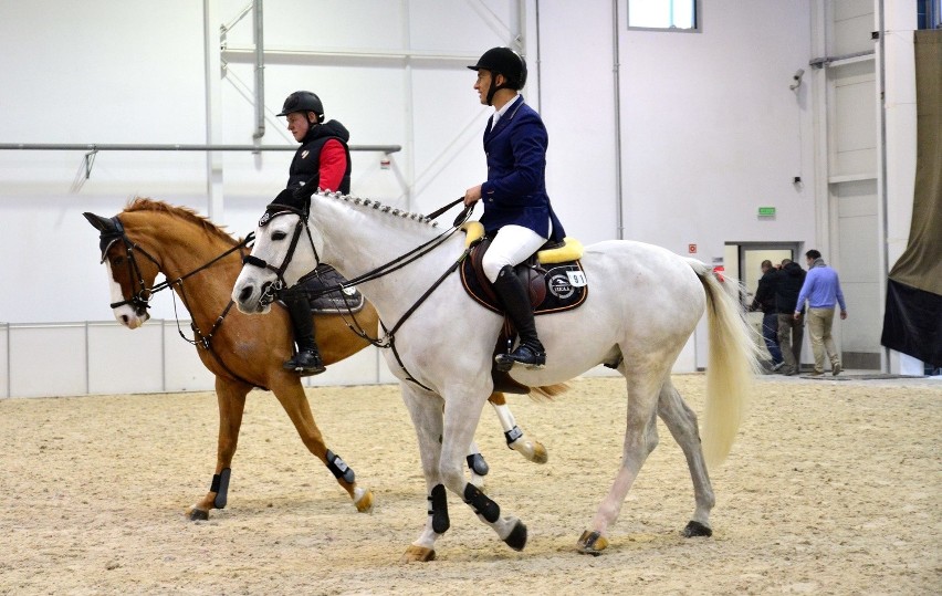 Cavaliada 2015 w Lublinie rozpoczęta. Na kibiców czeka moc atrakcji (WIDEO, ZDJĘCIA)