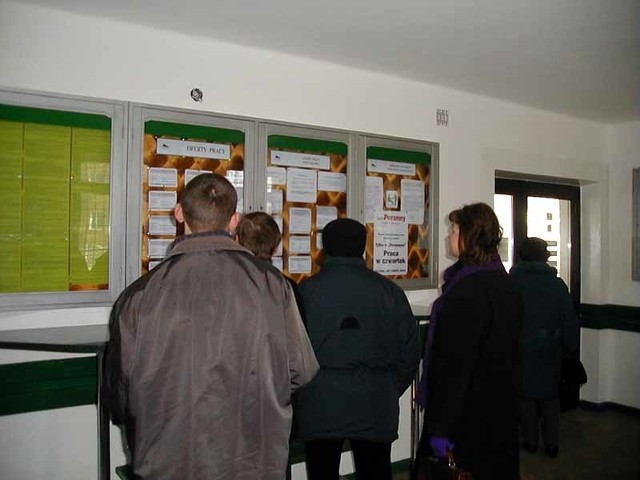 W pierwszym półroczu 2009 roku z powiatu sokólskiego do urzędu pracy wpłynęło 907 ofert pracy.