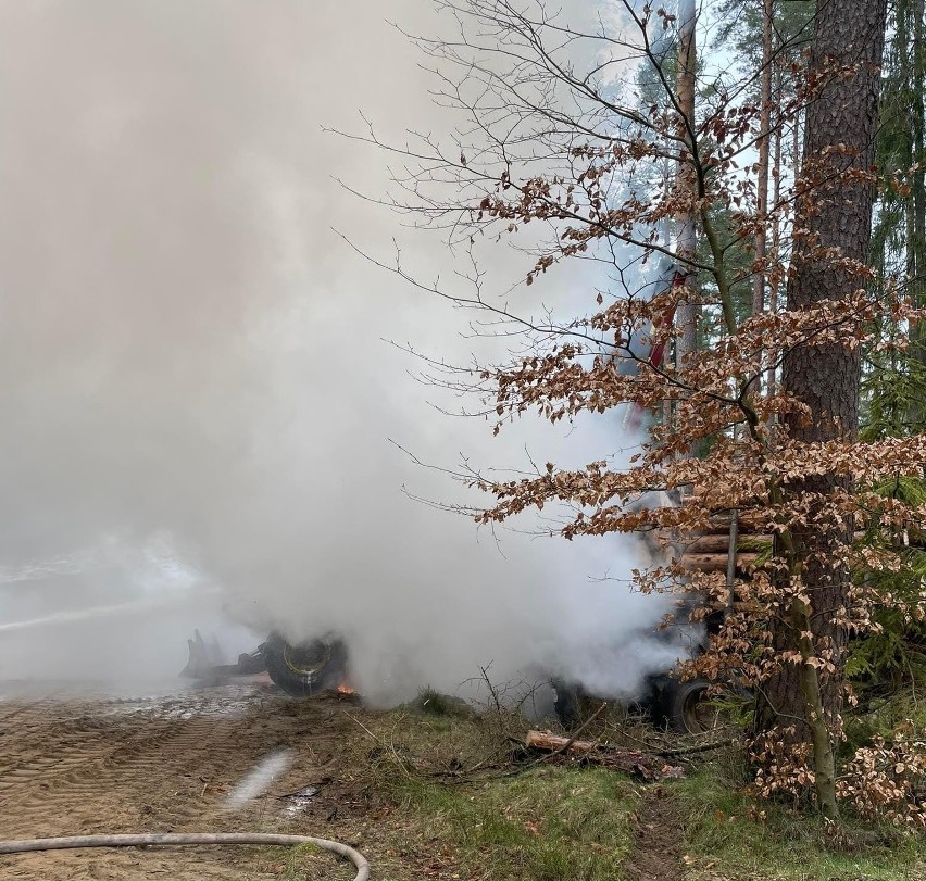 W lesie niedaleko Trzcinna palił się forwarder.