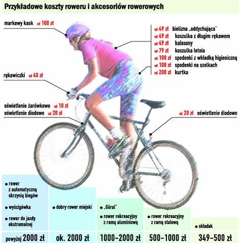 Jak wybrać rower, by dobrze i długo służył? | Gazeta Pomorska